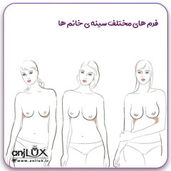 تفاوت میان فرم های مختلف سینه ی زنان